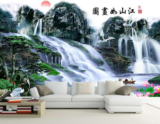 昆明动物园7斤公猫体检,全程没有反抗:或因与猴子接触过多